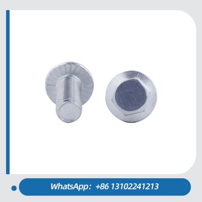 Factory Sell Hex Flange Head Stainless Steel Hex Bolt Customized Size