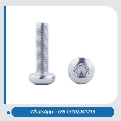 Stainless Steel Torx Socket Pan Head Machine Bolt