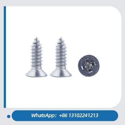 Custom Manufacturing Stainless Steel Countersunk Cross Recessed Tapping Screws