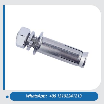 Fasteners Manufacturers 12MM Anchor Bolt Stainless Steel Expansion Bolt