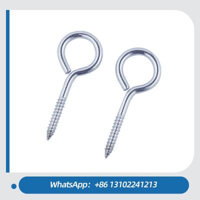 Steel Eye Screw with Wood Screw Thread Stainless Steel Screw