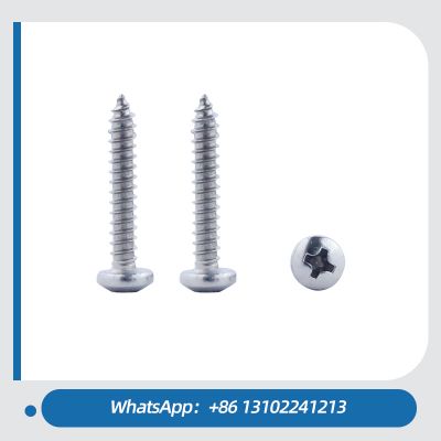 Stainless Steel 6.5mm-100mm Pan Head Self Tapping Screw